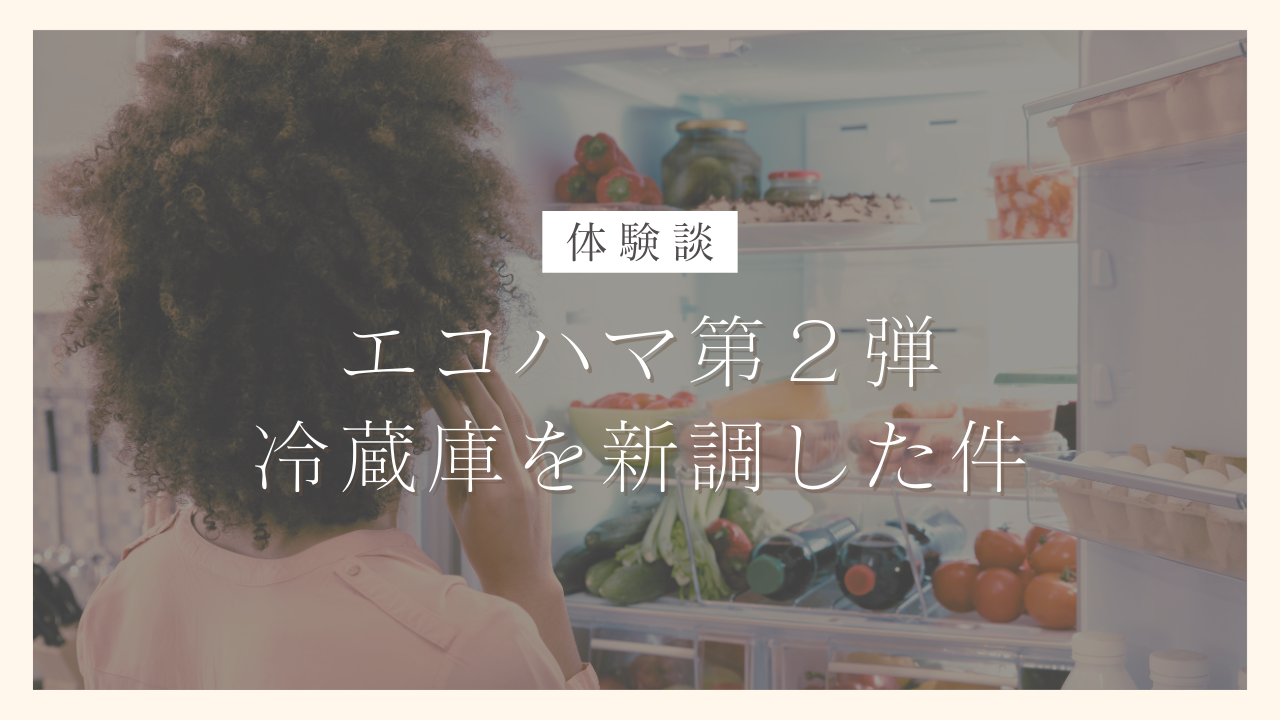 エコハマ第2弾 横浜市エコ家電応援キャンペーンを利用して冷蔵庫を新調した件【体験談】｜100日でサイドFIREするシングルマザー